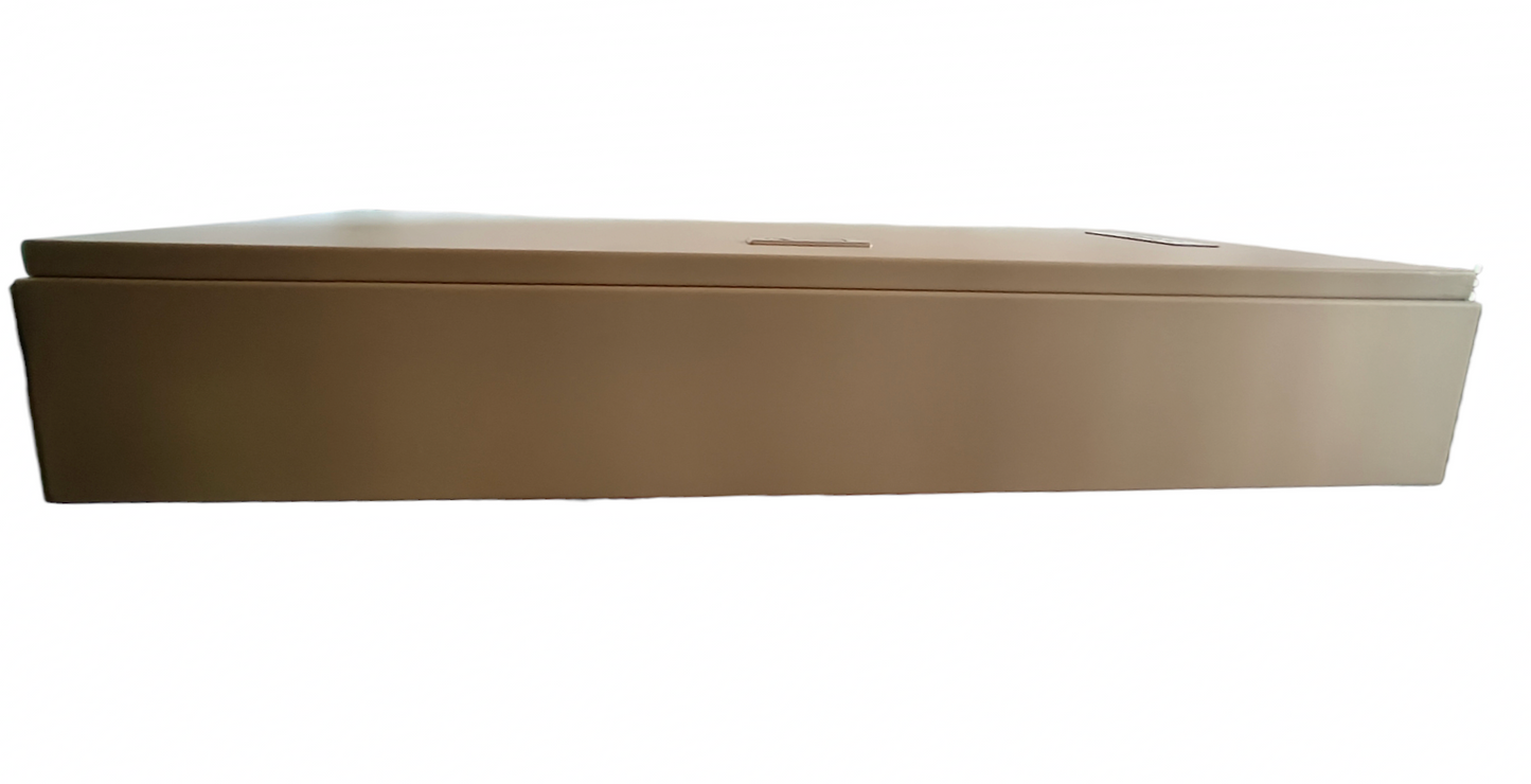 Royu MTS Main MCCB 125AF 2pole Panel Board electrical circuitry component in beige casing