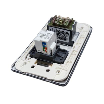 Omni graphite LAN and cable TV outlet wall plate with exposed RJ45 and coax modules white mounting frame