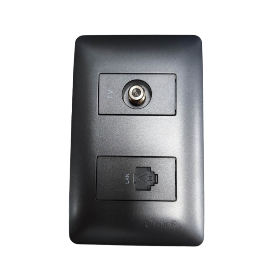Omni graphite LAN and cable TV outlet wall plate with coax TV connector and covered RJ45 LAN port