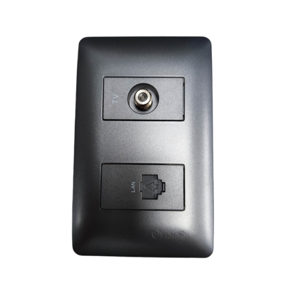 Omni graphite LAN and cable TV outlet wall plate with coax TV connector and covered RJ45 LAN port