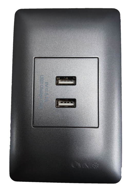 Omni USB outlet 2 gang graphite with dual USB ports for convenient charging