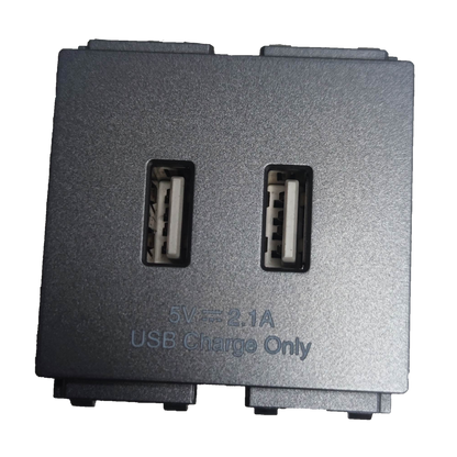 Omni USB wall outlet 2 gang with dual charging ports for convenient device charging