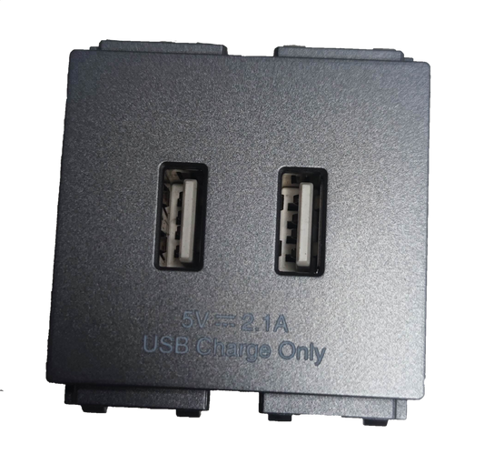 Omni USB wall outlet 2 gang with dual charging ports for convenient device charging