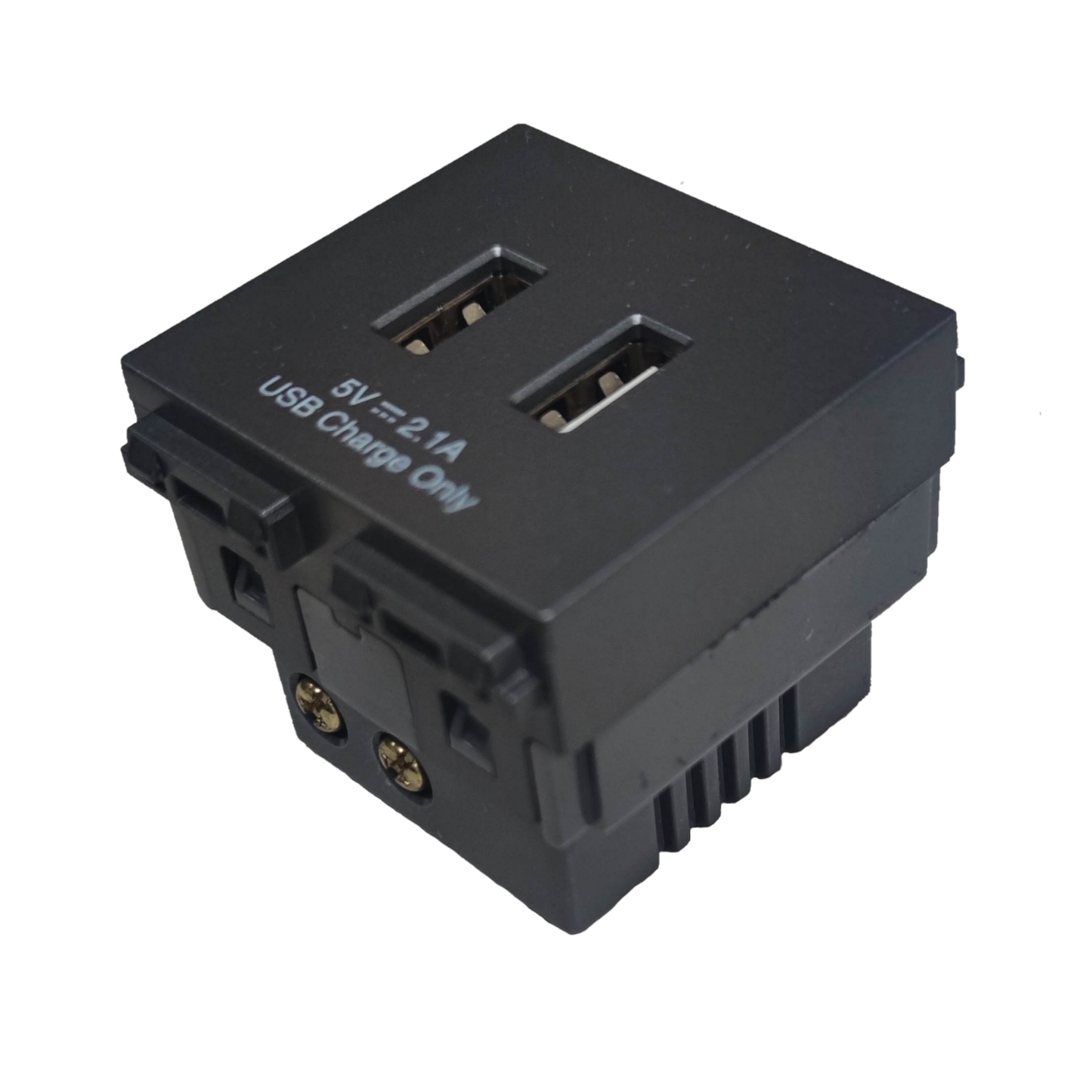 Omni USB wall outlet 2 gang with dual USB ports for convenient charging options