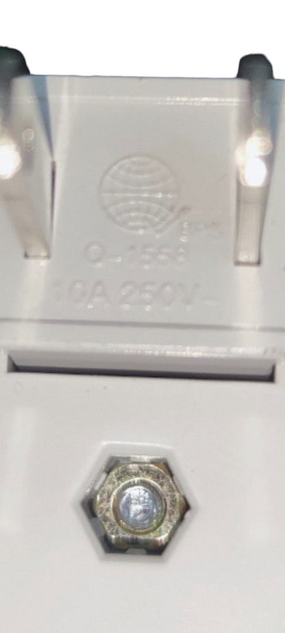 Close-up of Omni WSP-003 swing plug showing 10A 250V rating and metal screw detail