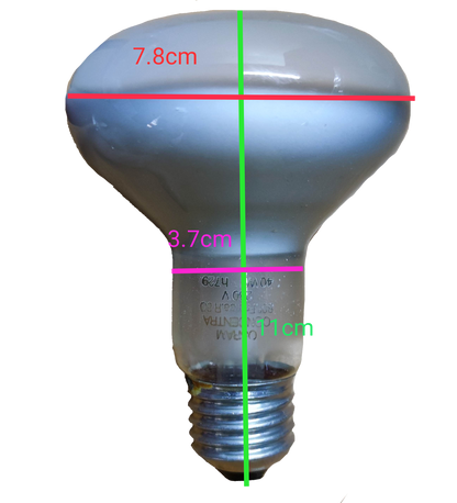 Electx Electrical Supply 40W Spot Light R80 E27 220V incandescent bulb with dimensions