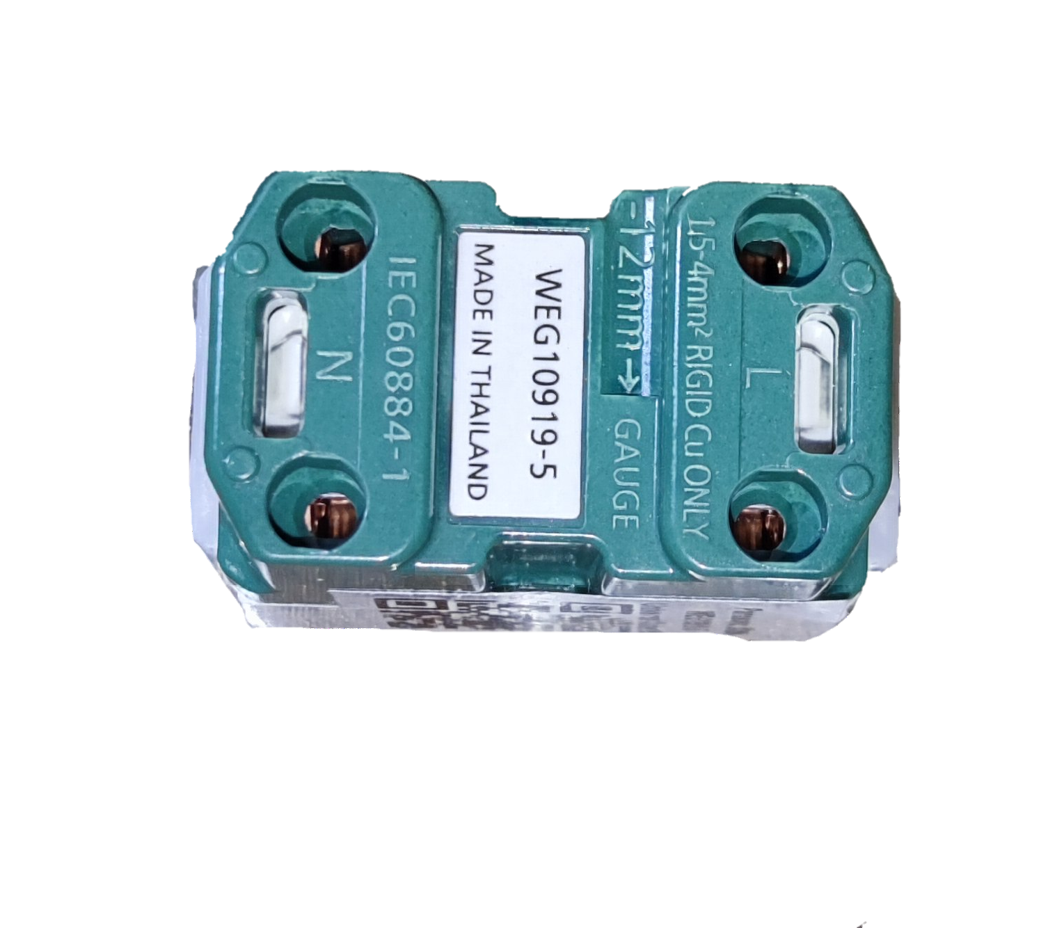 Panasonic 16A 250V quick connect terminal outlet green double terminal block marked L and N made in Thailand