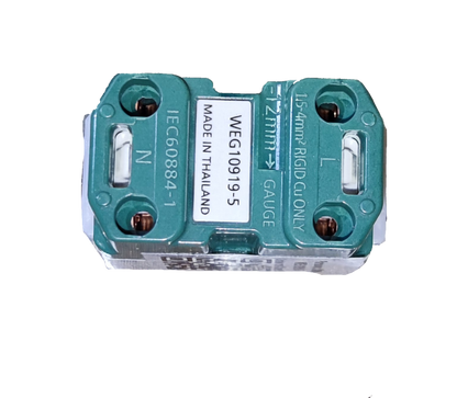 Panasonic 16A 250V quick connect terminal outlet green double terminal block marked L and N made in Thailand
