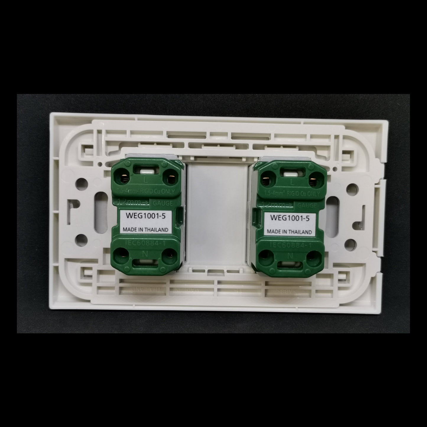 Panasonic WEG1001-5 WEG6802 outlet installed in a white wall plate for electrical use