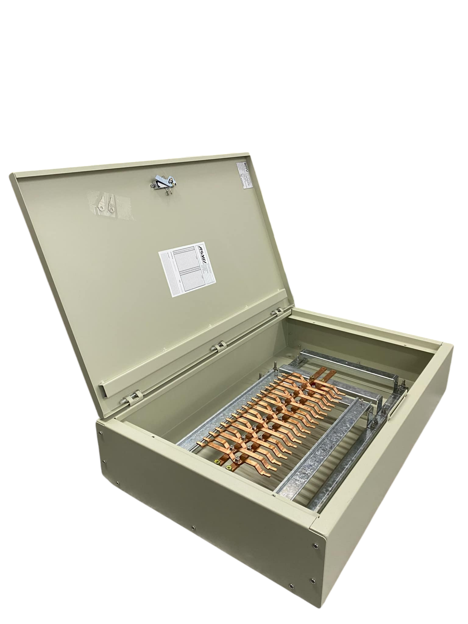 Schneider Royu Panel Board EZC100H 100A 2 Pole electrical circuitry box with open metal casing and copper busbars