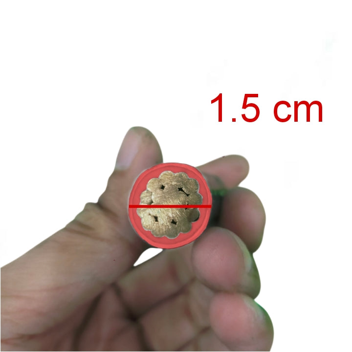 Phelps Dodge THHN wire 80mm red showcasing the cross-section with copper strands visible