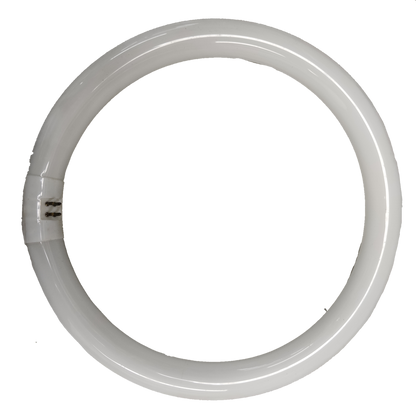 Philips 32W circular fluorescent tube with a sleek design for efficient lighting solutions