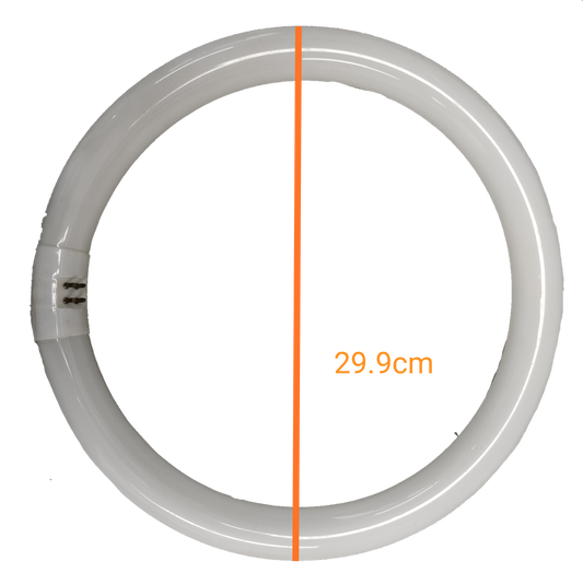 Philips 32W circular fluorescent tube in white, measuring 29.9cm in diameter for effective lighting