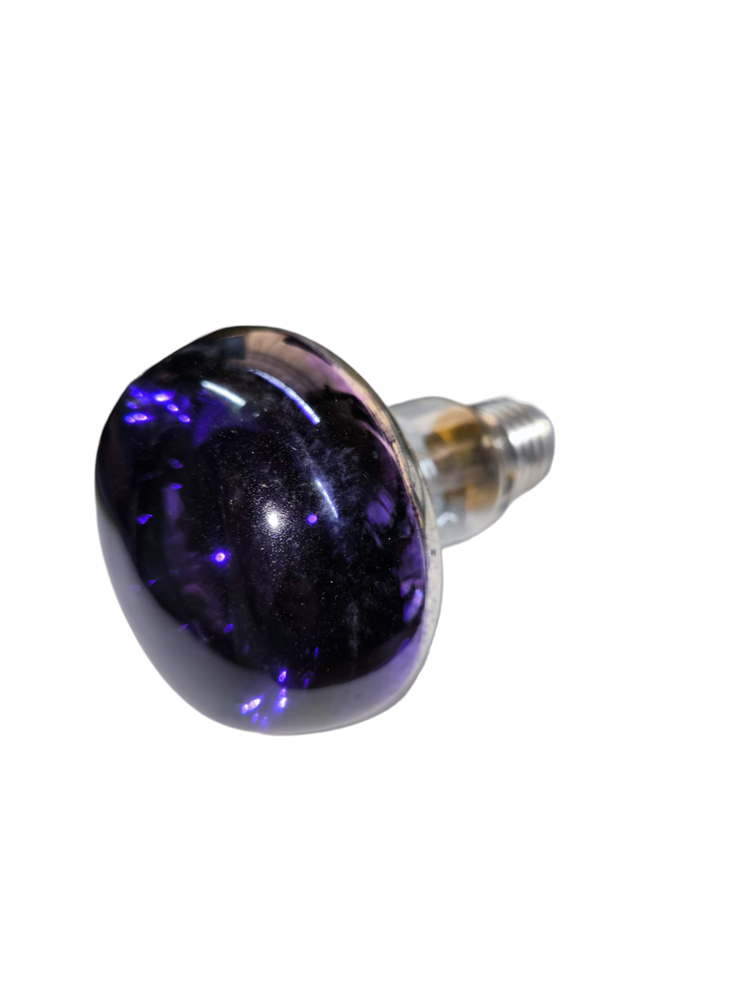 Philips 60W violet spotlight bulb incandescent light with reflective coating and screw base