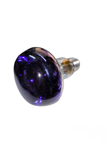 Philips 60W violet spotlight bulb incandescent light with reflective coating and screw base