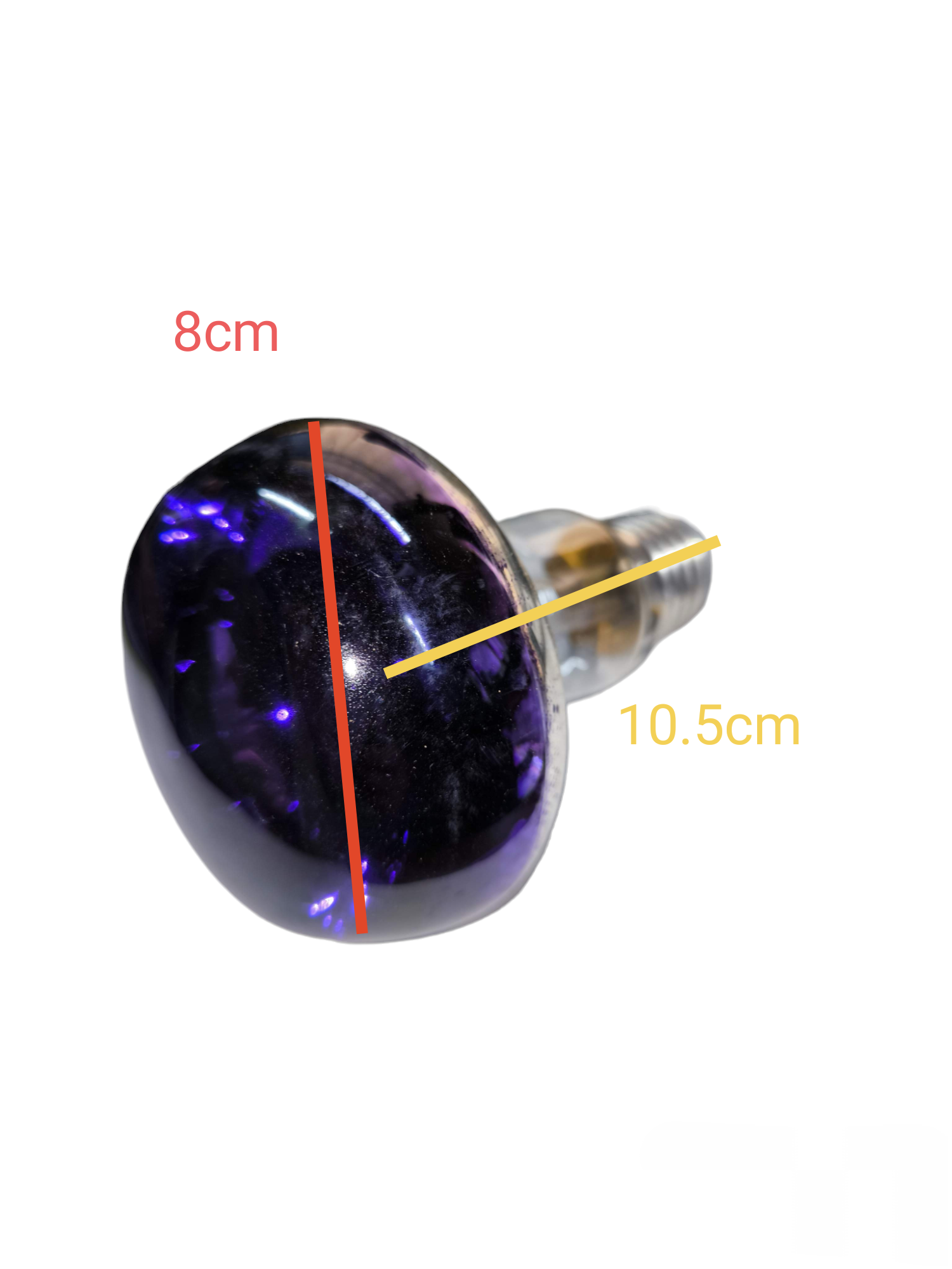 Philips 60W violet spotlight bulb with purple glass and standard screw base measuring 8cm by 10.5cm