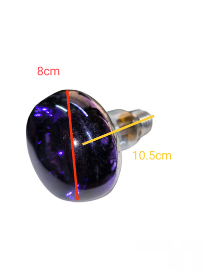 Philips 60W violet spotlight bulb with purple glass and standard screw base measuring 8cm by 10.5cm