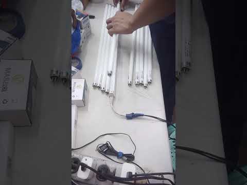14W T-5 Fluorescent Tube Daylight 6500 T5 Tube Only Electx Electrical Supply