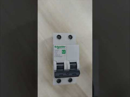 Schneider 63A 2 Pole 6KAIC 220V Miniature Circuit Breaker Easy 9 MCB EZ9F56263
