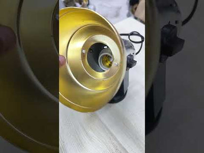 Spot Light Holder E27 Socket Gold and Silver Finish 100W Capacity