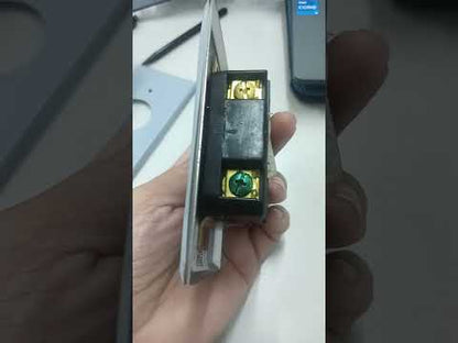 Grippes 30A Twist Lock Outlet with Stainless Plate 2P+E (3P) 250V(NEMA L6) WJ6331B and 9221, Twistlock