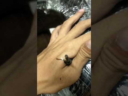 Boston 16/2 Royal Cord 1.25mm 2 Core (75 Meters) (1 Roll) Power Cable Perma Cord