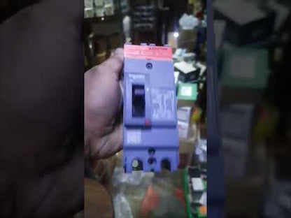 Schneider 80A 2P Industrial Circuit Breaker 25KAIC 250V EZC100H2080 MCCB
