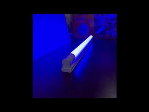 Shuta T8 LED Tube Light 9W Double Ended 1050LM Blue 220V