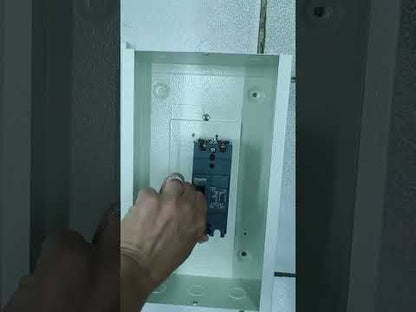 Schneider 80A 2Pole 10Kaic 220V 100AF Industrial Circuit Breaker MCCB Molded Case Circuit Breaker with Nema 1 Enclosure EZC100H2080