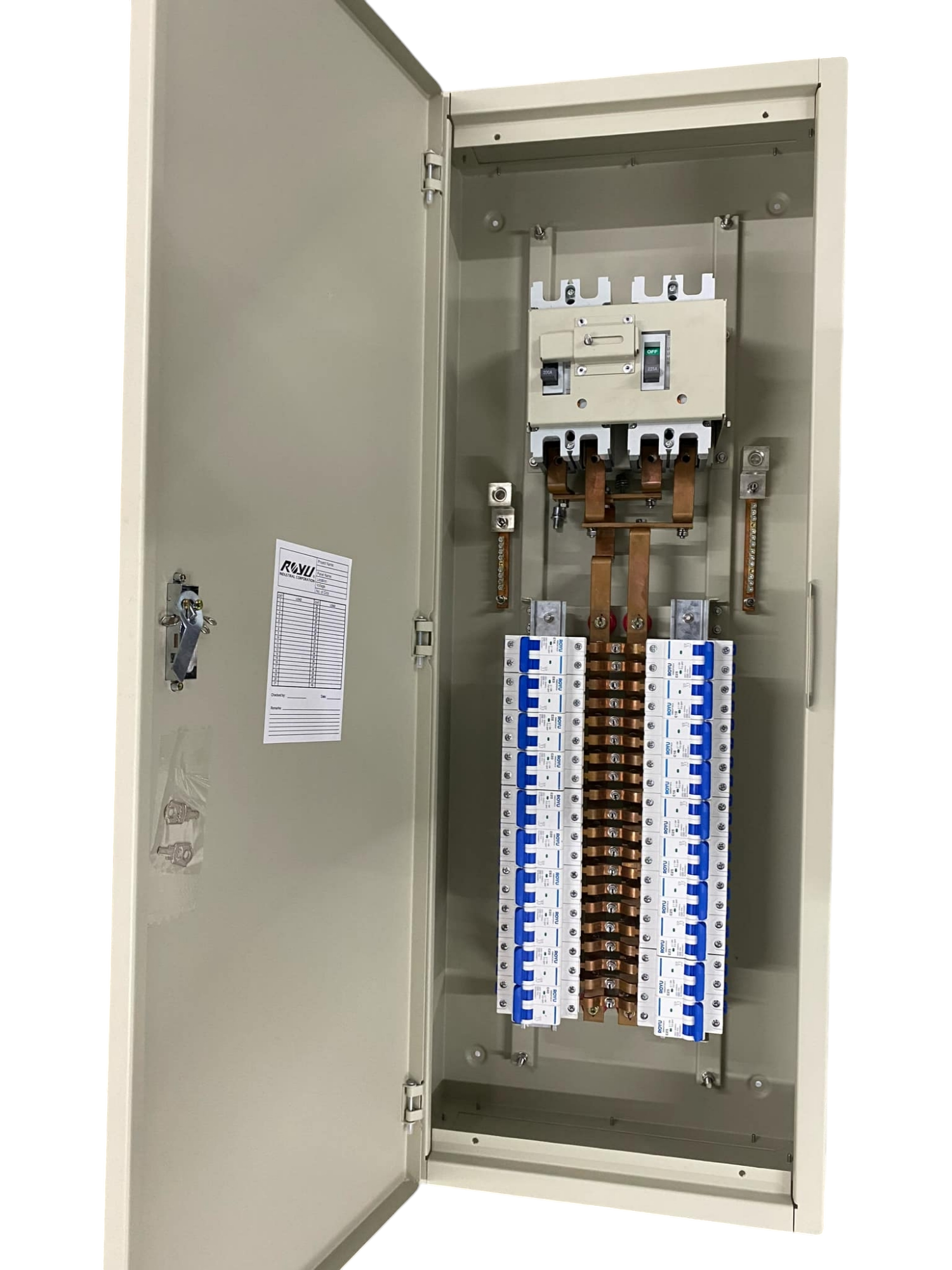 Chint 160A 2 pole MCCB panel board with open metal enclosure showing busbars and circuit breakers