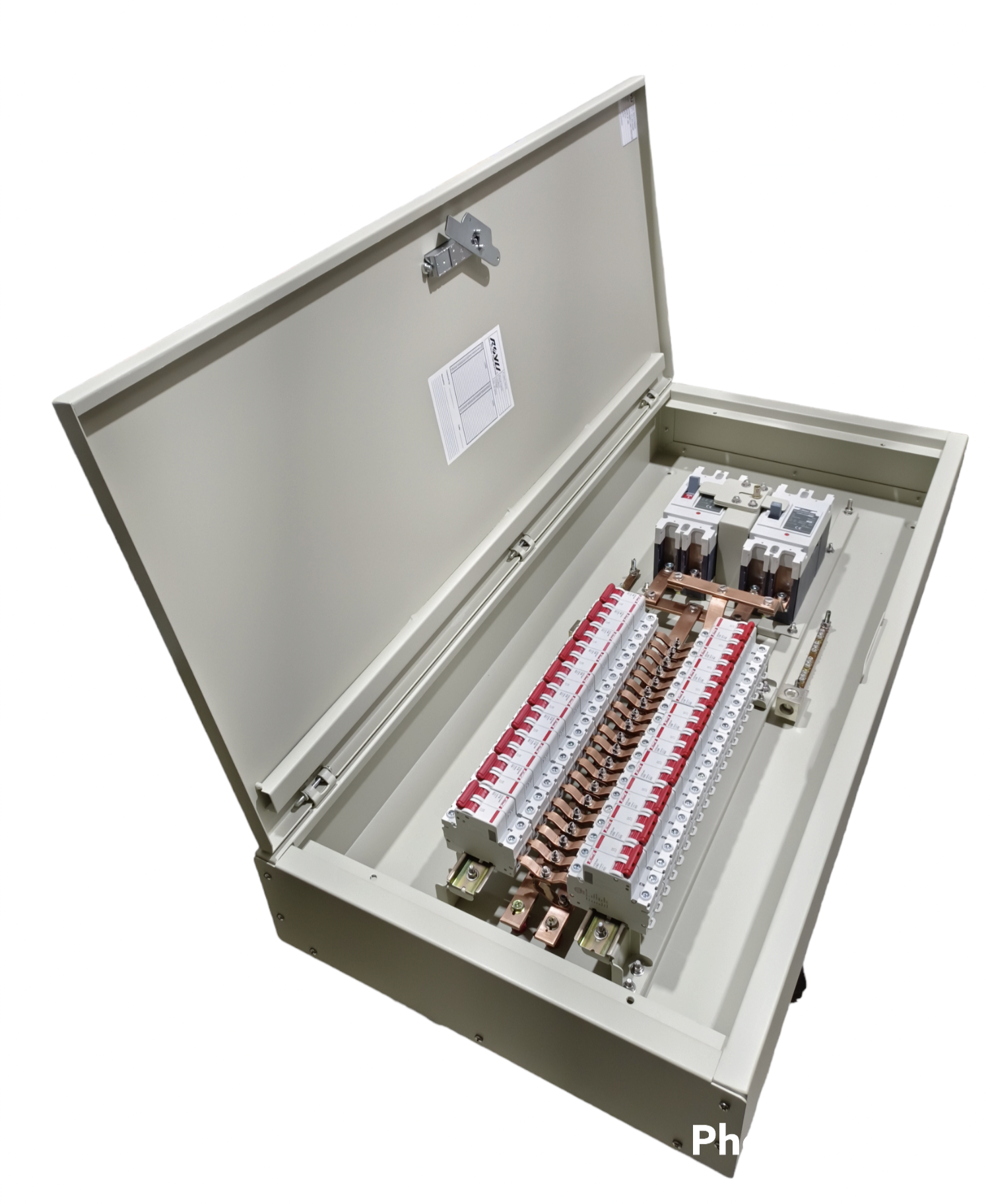 Chint 200A 2 pole main MCCB panel board open metal enclosure showing busbars breakers and terminals