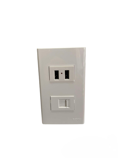 Royu wall plate with USB 2 Port 2100mAh 5V and LAN Outlet. white dual USB charging ports and Ethernet jack