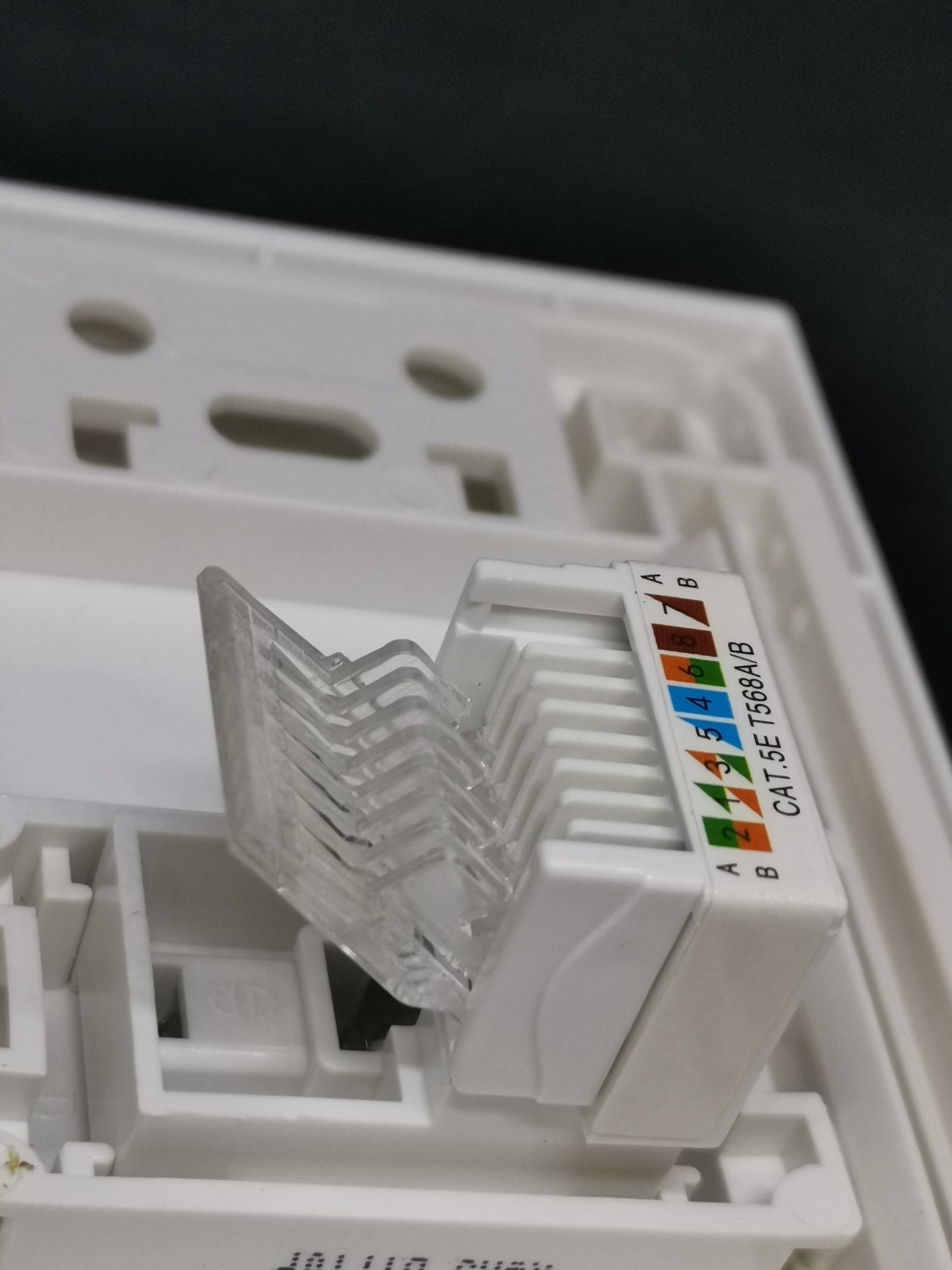 Royu 1 Gang LAN Outlet Cat5e white keystone module with punchdown terminals for wall plate
