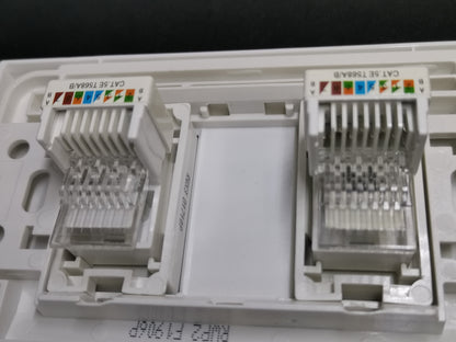 Royu 2 Gang LAN Outlet with Plate Wide white dual CAT6 keystone jacks mounted in wall plate