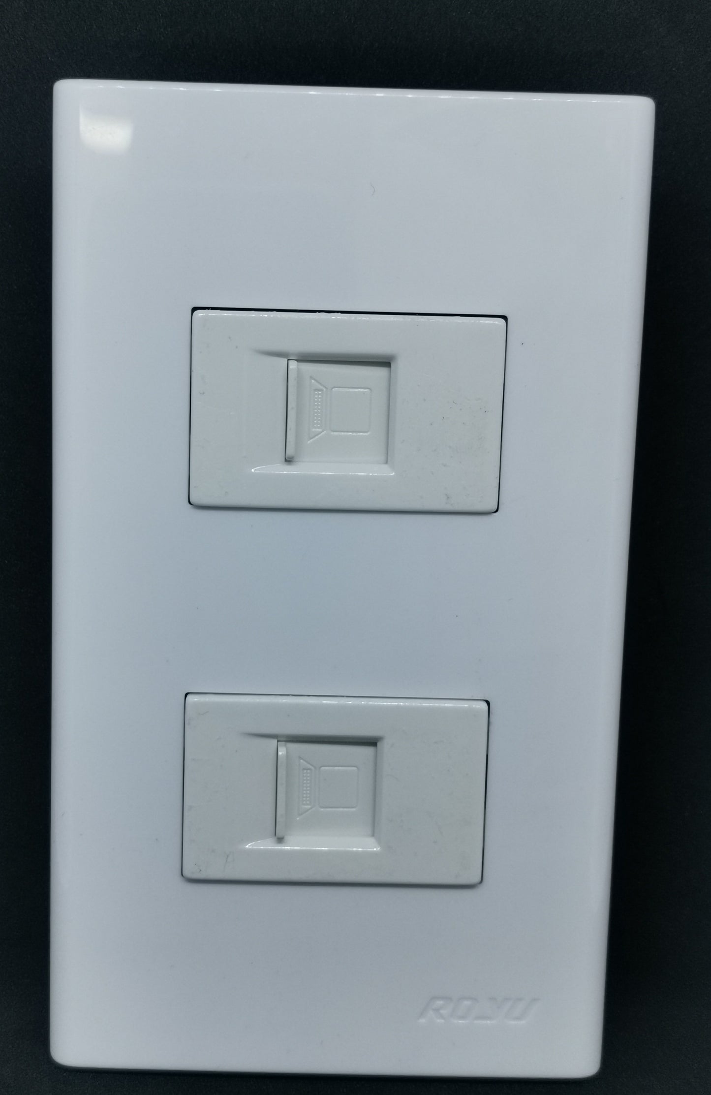 Royu 2 Gang LAN Outlet with Plate Wide white dual RJ45 network wall plate vertical mount