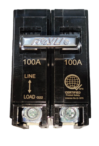 Royu 100A circuit breaker 2 pole 6KAIC 220V for safe electrical circuit protection