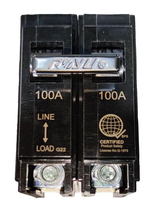 Royu 100A circuit breaker 2 pole 6KAIC 220V for safe electrical circuit protection