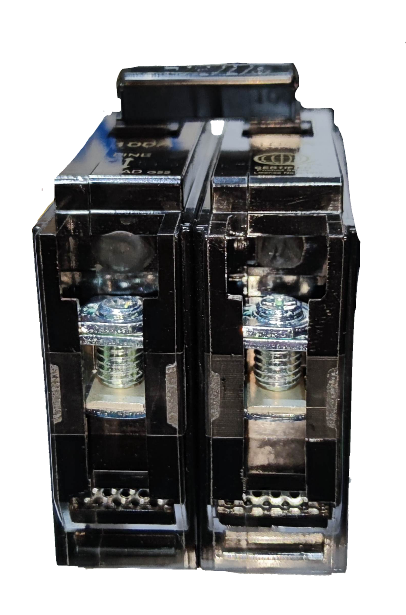 Royu 100A circuit breaker 2 pole 6KAIC 220V for electrical circuit protection and control