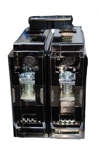 Royu 100A circuit breaker 2 pole 6KAIC 220V for electrical circuit protection and control