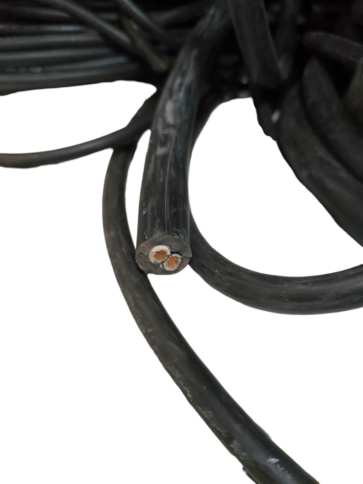 Close-up of Phelps Dodge Royal Cord 22mm 2 core cable with black insulation and exposed copper wires