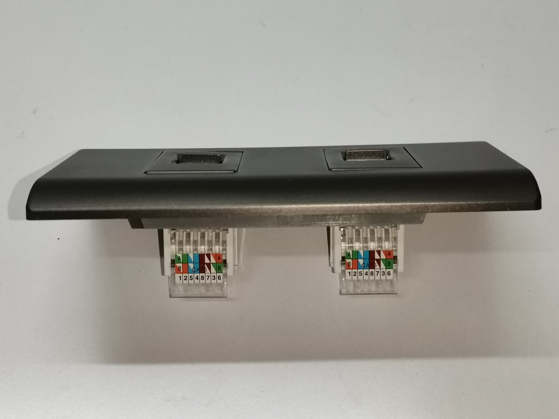 Royu 2 Gang LAN Outlet with Plate in black for network cable connections