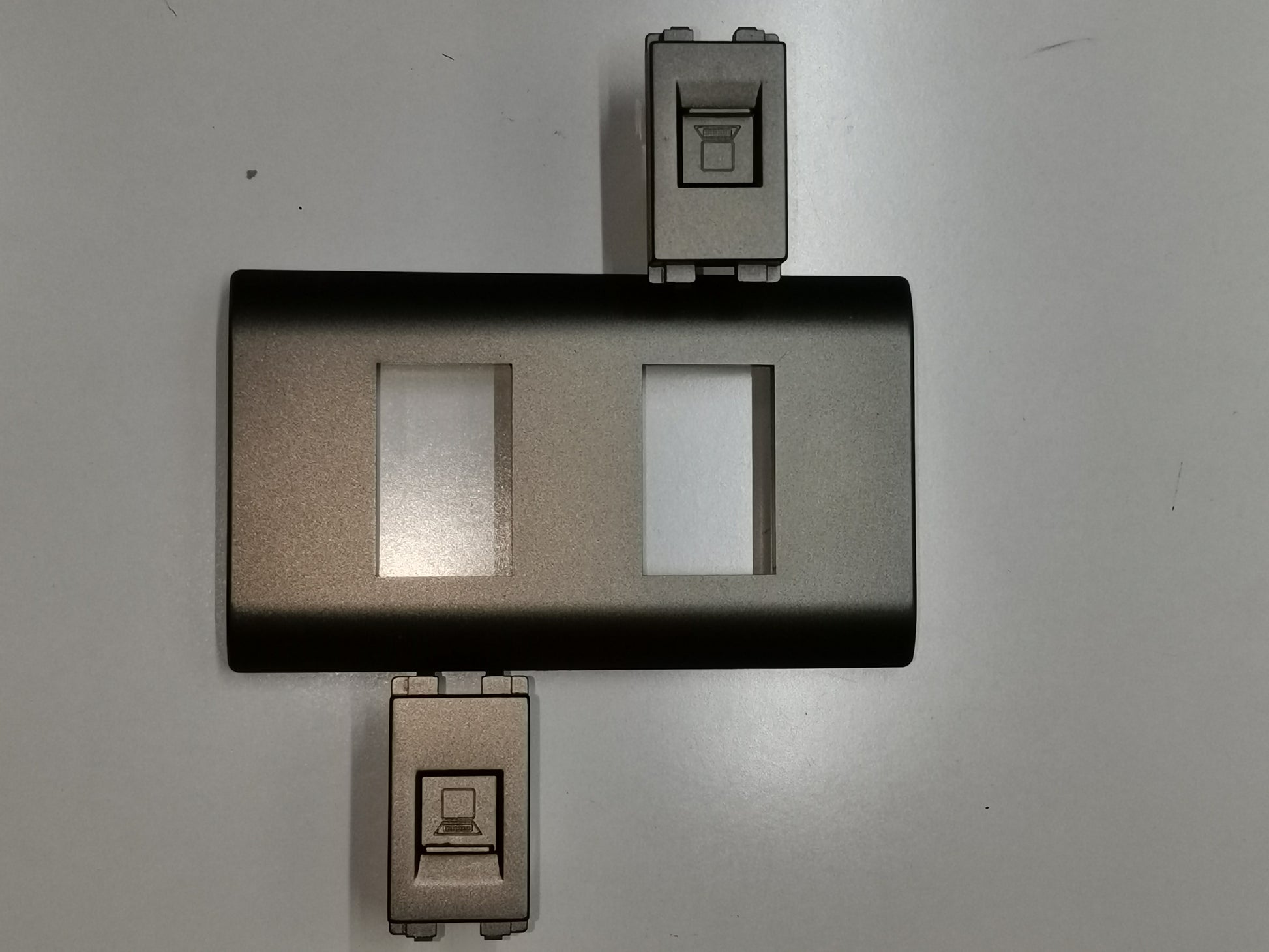 Royu 2 Gang LAN Outlet with Plate showing two ports and a modern metallic finish