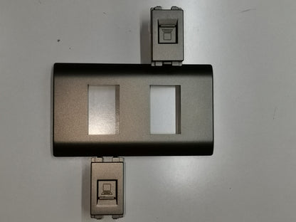 Royu 2 Gang LAN Outlet with Plate showing two ports and a modern metallic finish