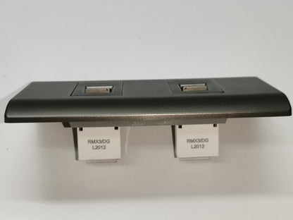 Royu 2 Gang LAN Outlet with Plate in dark gray for network connections