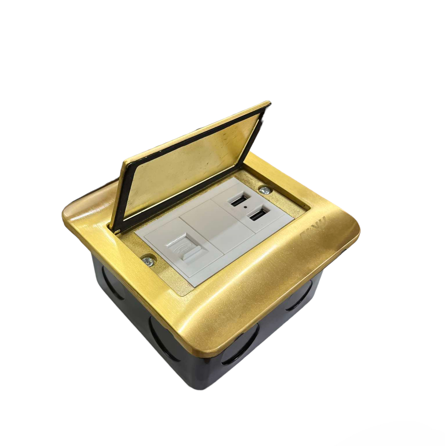 Royu Floor Outlet 2 Port USB Outlet 2100mAh with gold cover and dual power sockets