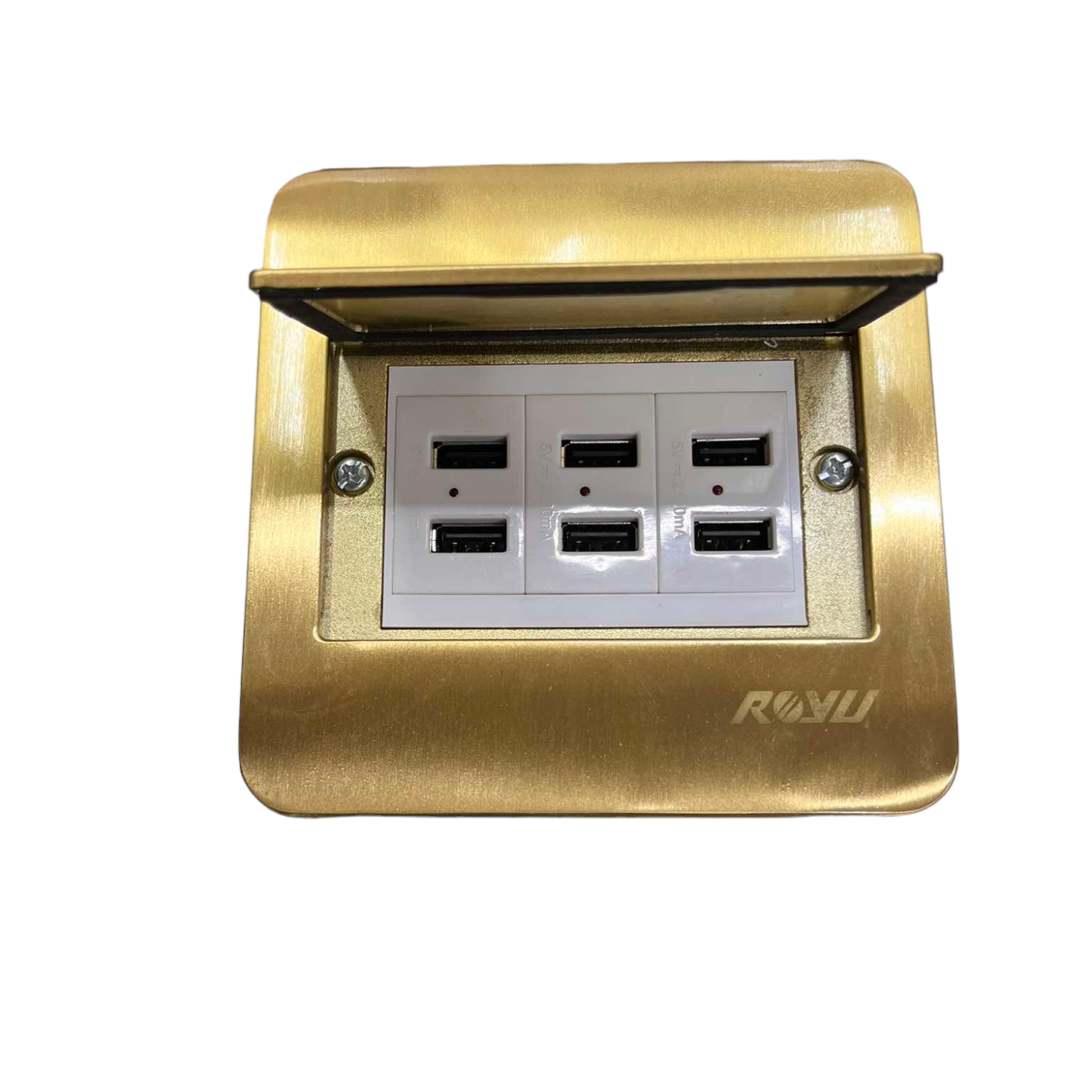 Royu Floor Outlet 6 Port USB Outlet with brass cover and six USB ports for convenient charging