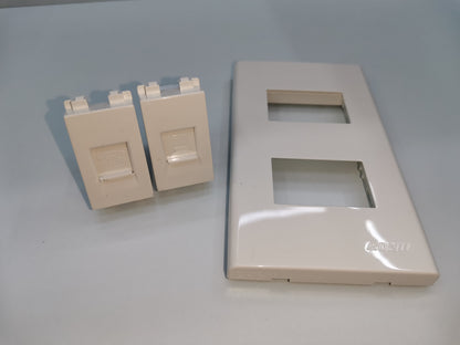 Royu network and phone wall plate with two modular jacks for network and phone connections