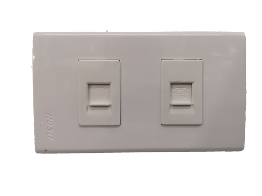 Royu network and phone wall plate with dual ports for network and telephone connections in white