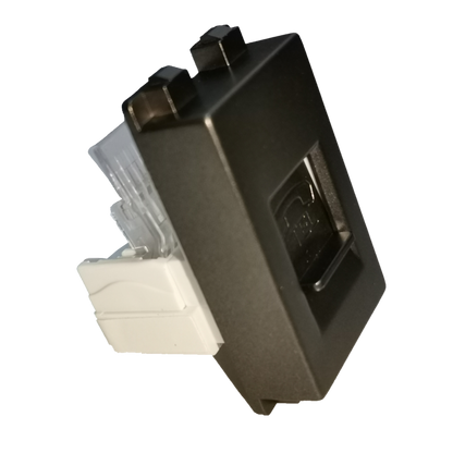 Royu Telephone Outlet Dark Gray with white connector for secure phone line connection