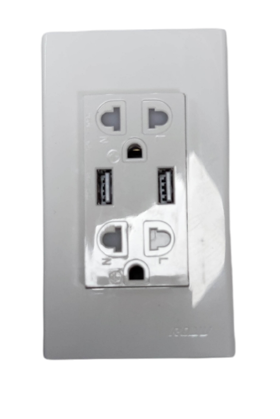 Royu Universal Outlet with Plate 16A 220V white power socket with two USB ports
